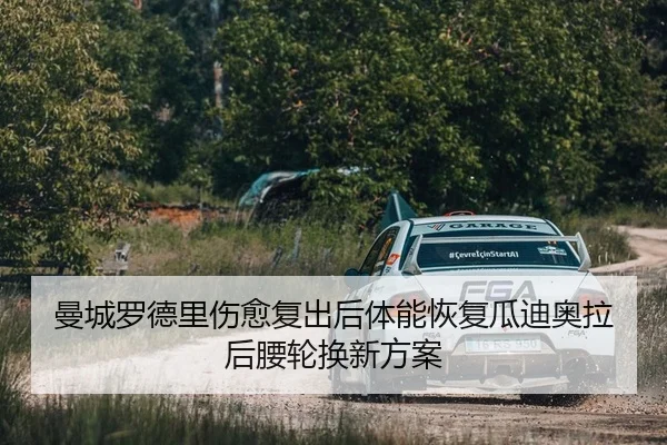 man-cheng-luo-de-li-shang-yu-fu-chu-hou-ti-neng-hui-fu-gua-di-ao-la-hou-yao-lun-huan-xin-fang-an-2-494.jpg
